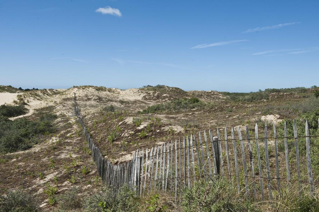 Evancy Etoile Des Dunes Bray-Dunes Eksteriør bilde