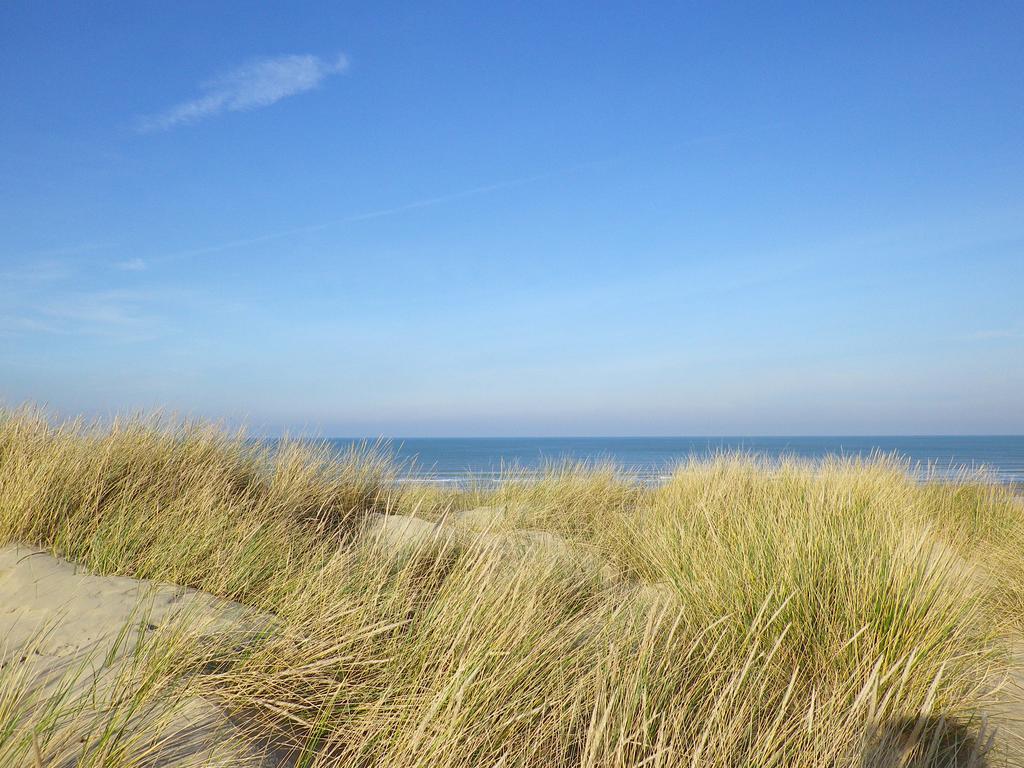 Evancy Etoile Des Dunes Bray-Dunes Eksteriør bilde